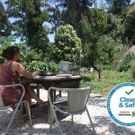 Ribeira Dos Marinheiros Azul Daire Sintra Dış mekan fotoğraf