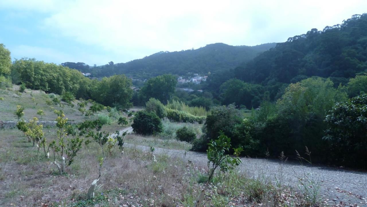 Ribeira Dos Marinheiros Azul Daire Sintra Dış mekan fotoğraf
