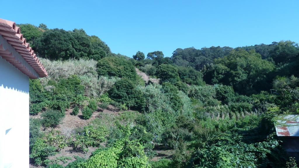 Ribeira Dos Marinheiros Azul Daire Sintra Dış mekan fotoğraf