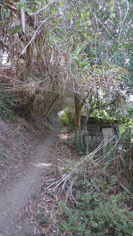 Ribeira Dos Marinheiros Azul Daire Sintra Dış mekan fotoğraf