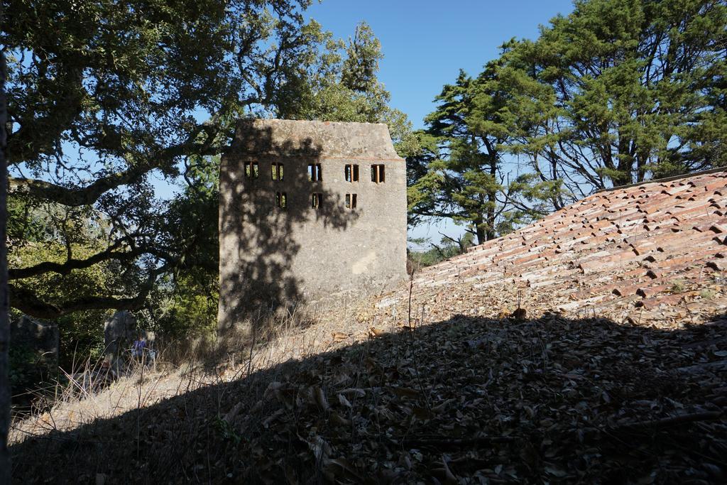 Ribeira Dos Marinheiros Azul Daire Sintra Dış mekan fotoğraf